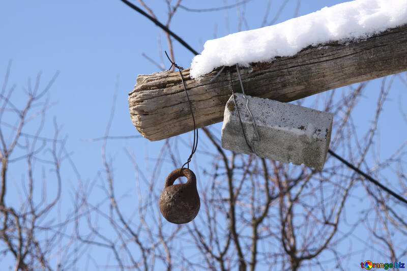 Kettlebell and brick tied to tree to weight №839