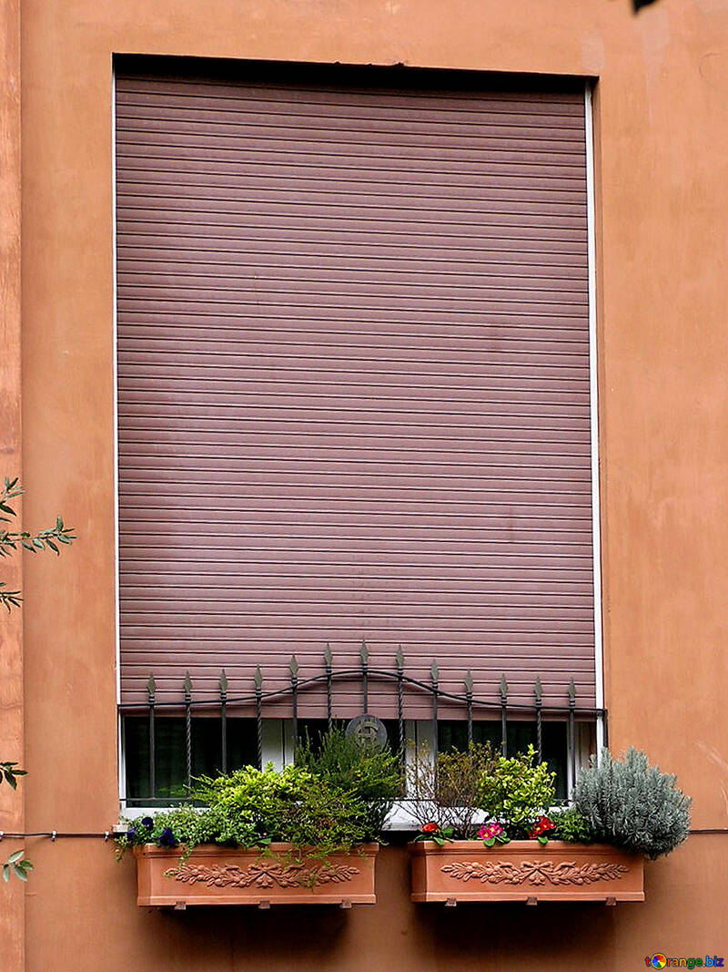 ローマ 古い 窓 ブラインド を使って 花 そして 細工した 棒 №319