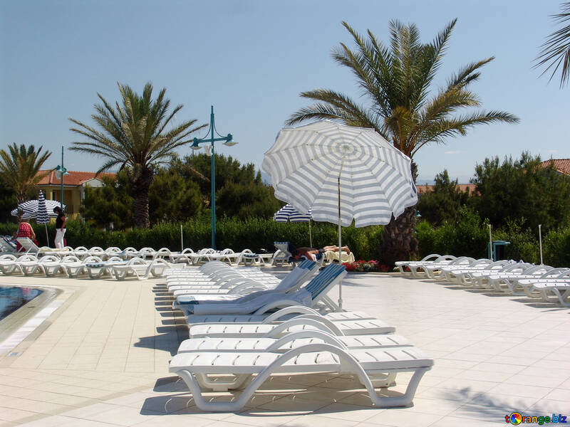El paraguas de playa y las camillas cerca de la piscina №255