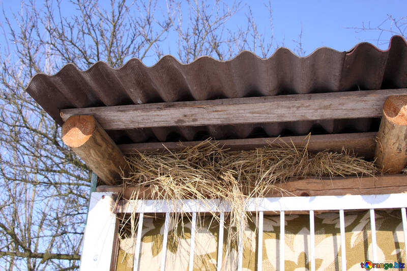Hay, under slate roof enclosure №495