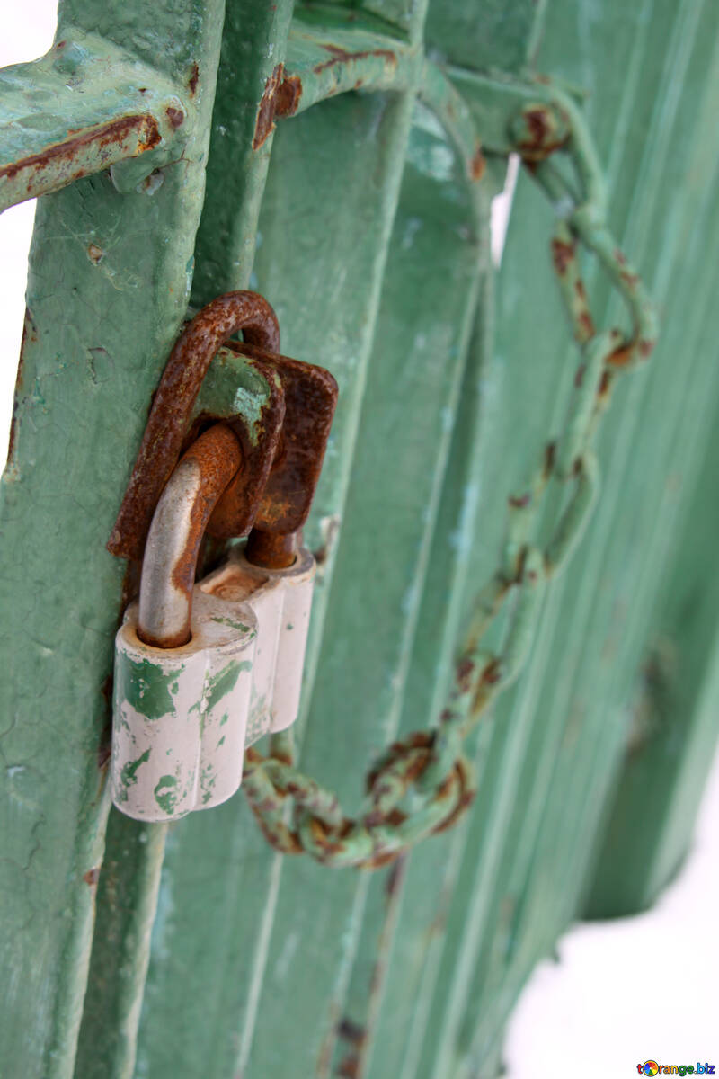 Padlock with chain on gate in the snow №519
