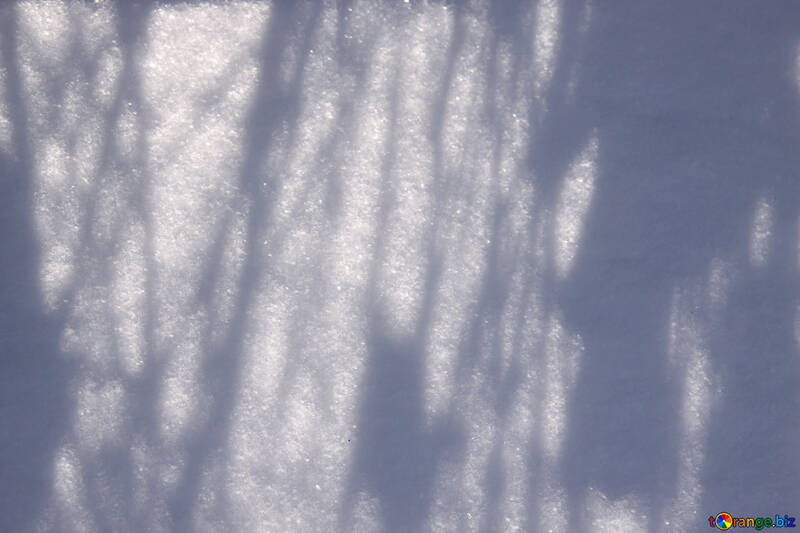 The shadow of the trees in the snow №826
