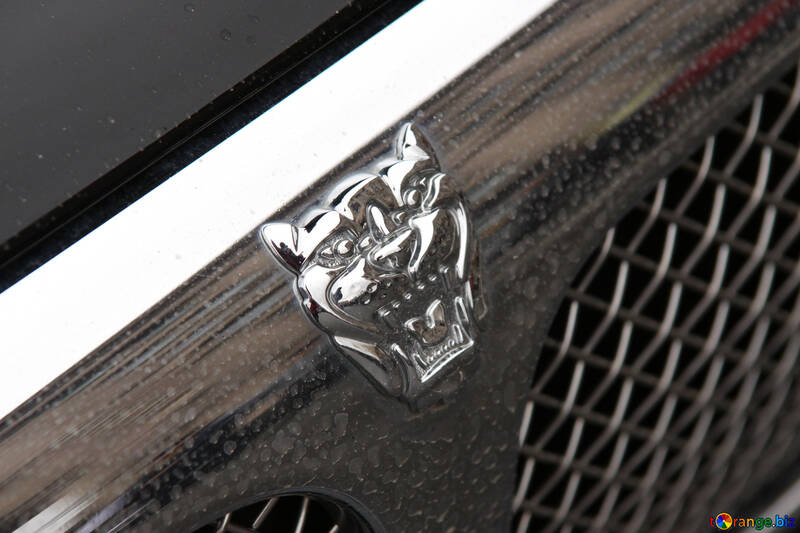 Jaguar-Emblem auf der Motorhaube №895