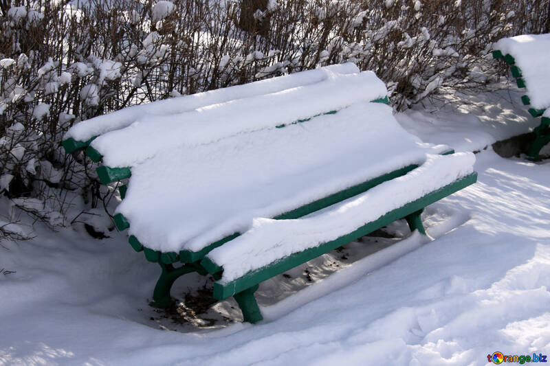 Un banc dans le parc sous la neige №825