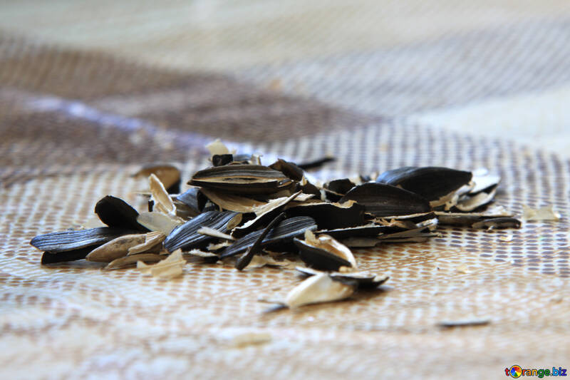 Hulls of sunflower seeds on the table №856