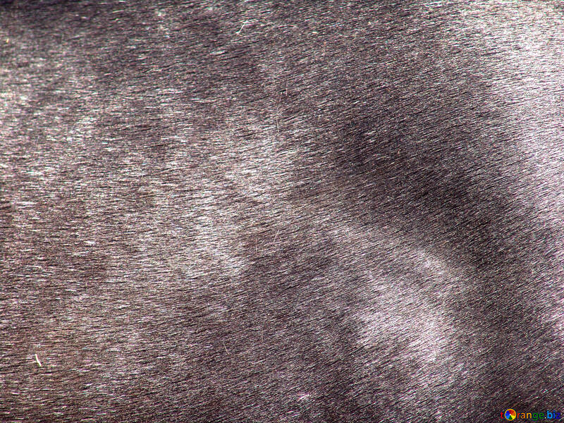 Cavalo de Lã. Textura №614