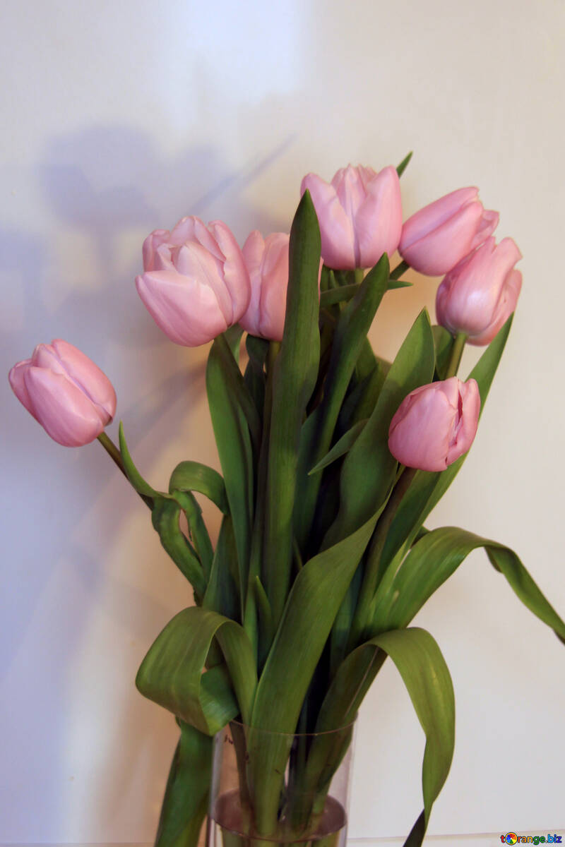  Tulipanes. Ramo de flores de tulipán  №951