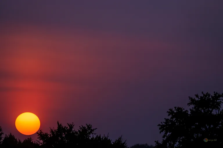 Відреставрована люксова версія Фон захід №1333