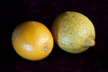 Orange and lemon №1170
