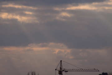 Tower crane under the sun №1122