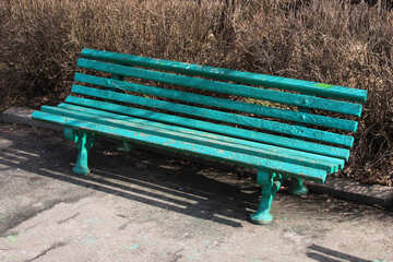 Bench in  Park  №1408