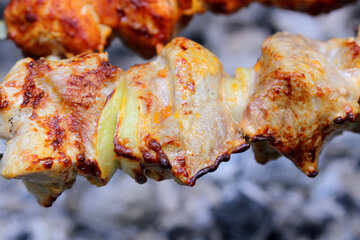 Shish kebab №1569