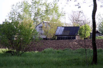 Casa de campo na primavera №1668
