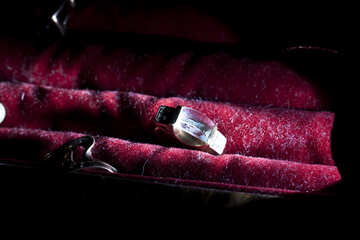 The ring in red velvet. №1326