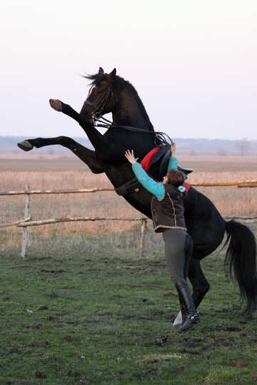A girl and stallion at dybah №1289