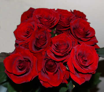 Bouquet of red roses №1420