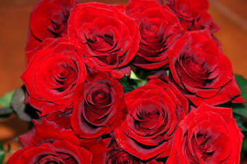 Rot Rosen Blumenstrauß №1423
