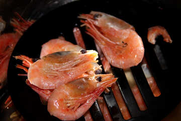 Shrimps №1252