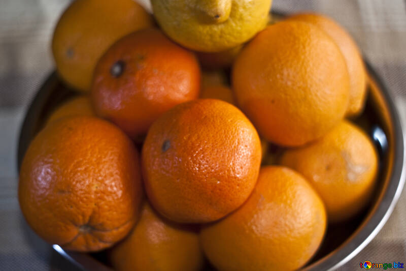 柑橘類 フルーツ テーブル №1174