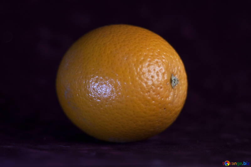 オレンジ №1169
