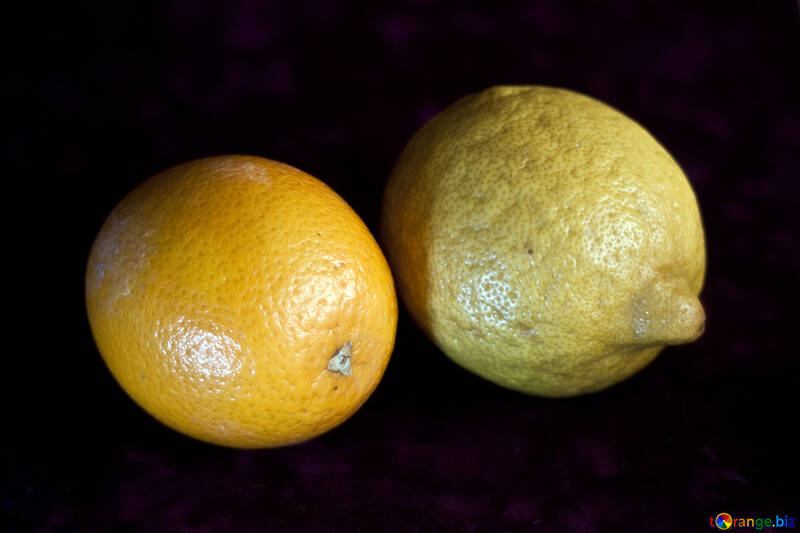 Orange und Zitrone №1170