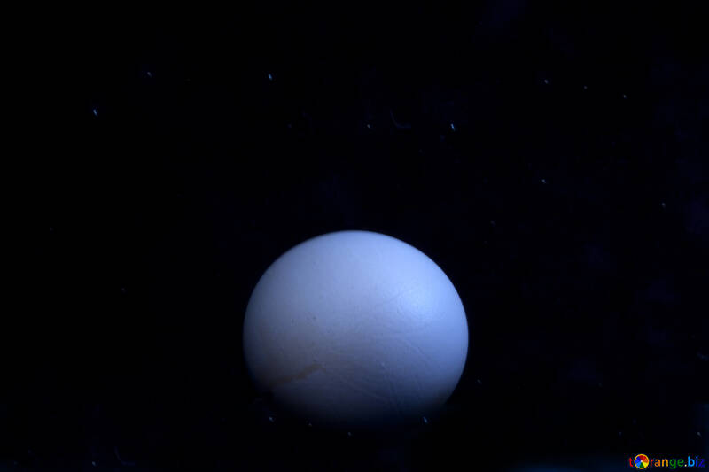 Uova su uno sfondo nero №1240