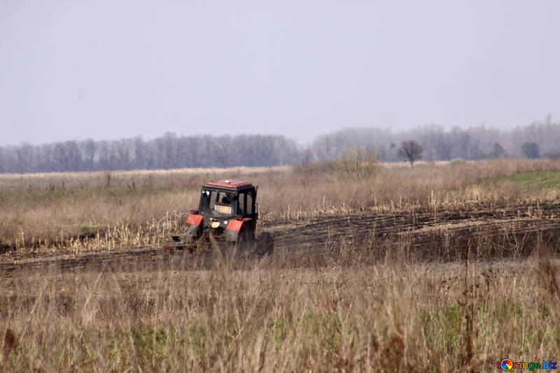 Spring field work. Tractor field №1266