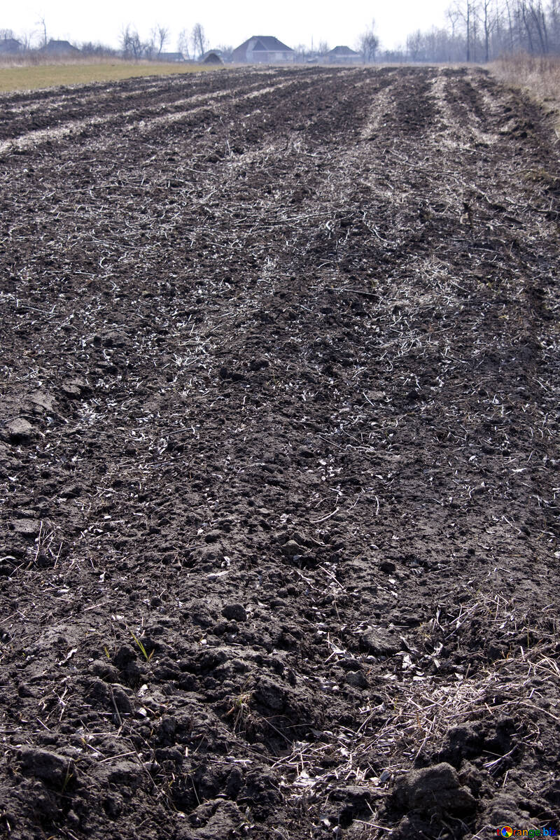 The ploughed field  №1082