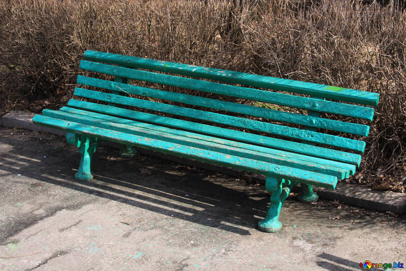 Bench in  Park  №1408