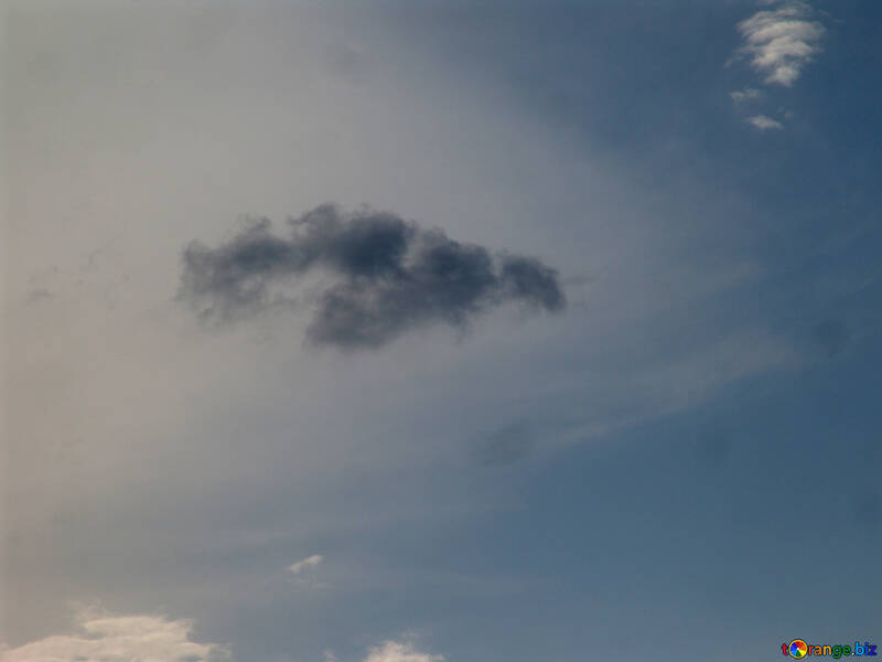 A gray cloud №1994