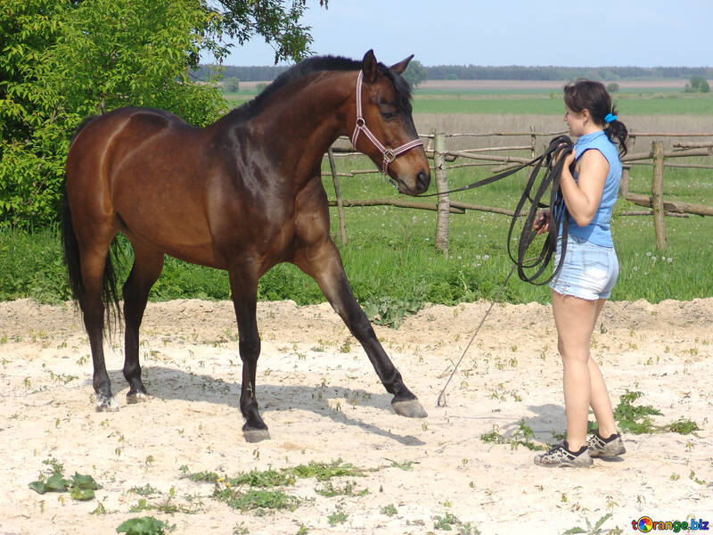 La jeune fille apprend à cheval №1058