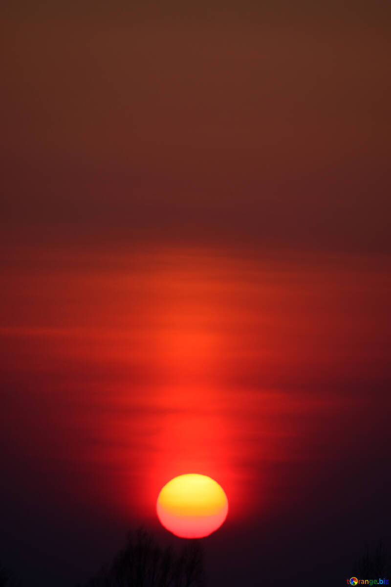 赤い 日没 背景。 №1334