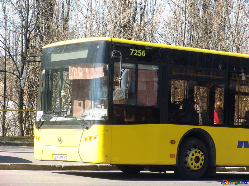  バス  №1350