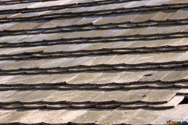 Tiled roofs. Texture. №1087