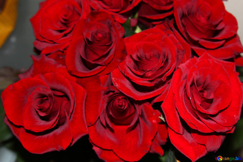 Rot Rosen Blumenstrauß №1421