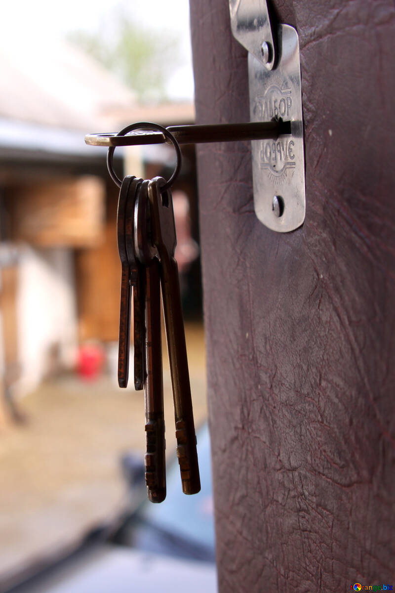 Open the door. The key in the lock №1694