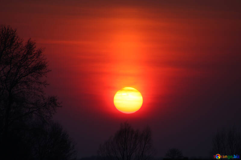 Rot Sonnenuntergang №1330