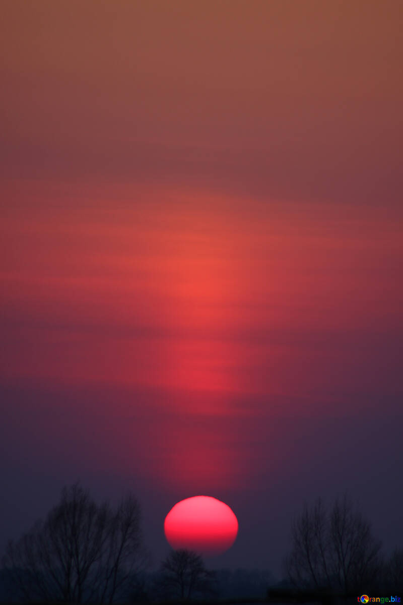 Sunset №1340