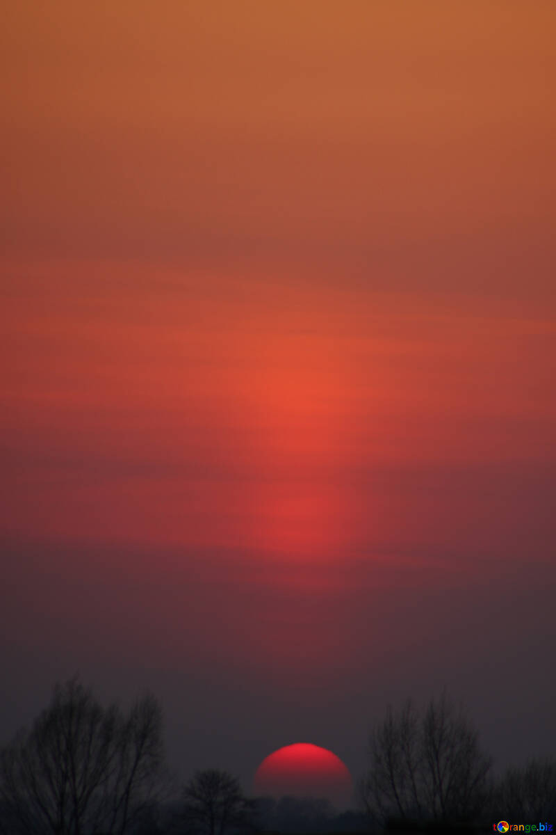 Sunset  №1346