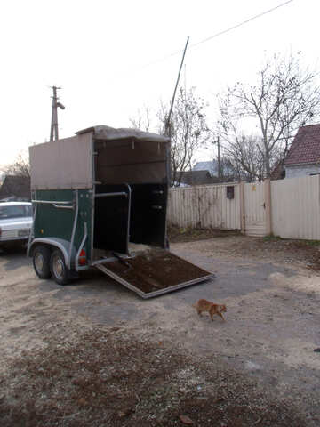 Horse trailer №10912