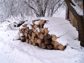 材木  そして   雪 №10511