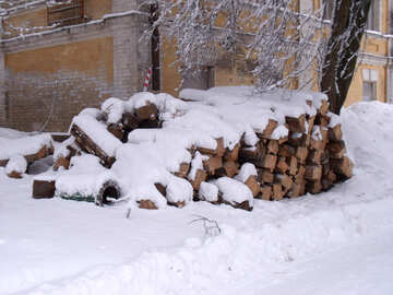 Timber  winter №10564
