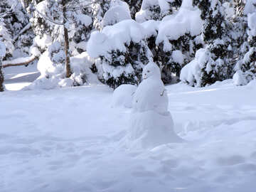 Muñeco de nieve  en  Bosque №10504