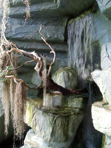 Artificial Waterfalls №10668