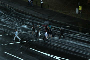 Pedestrians go of puddles №10958