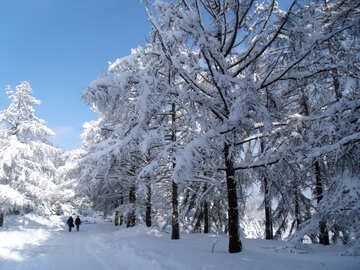  Nieve  Invierno №10568