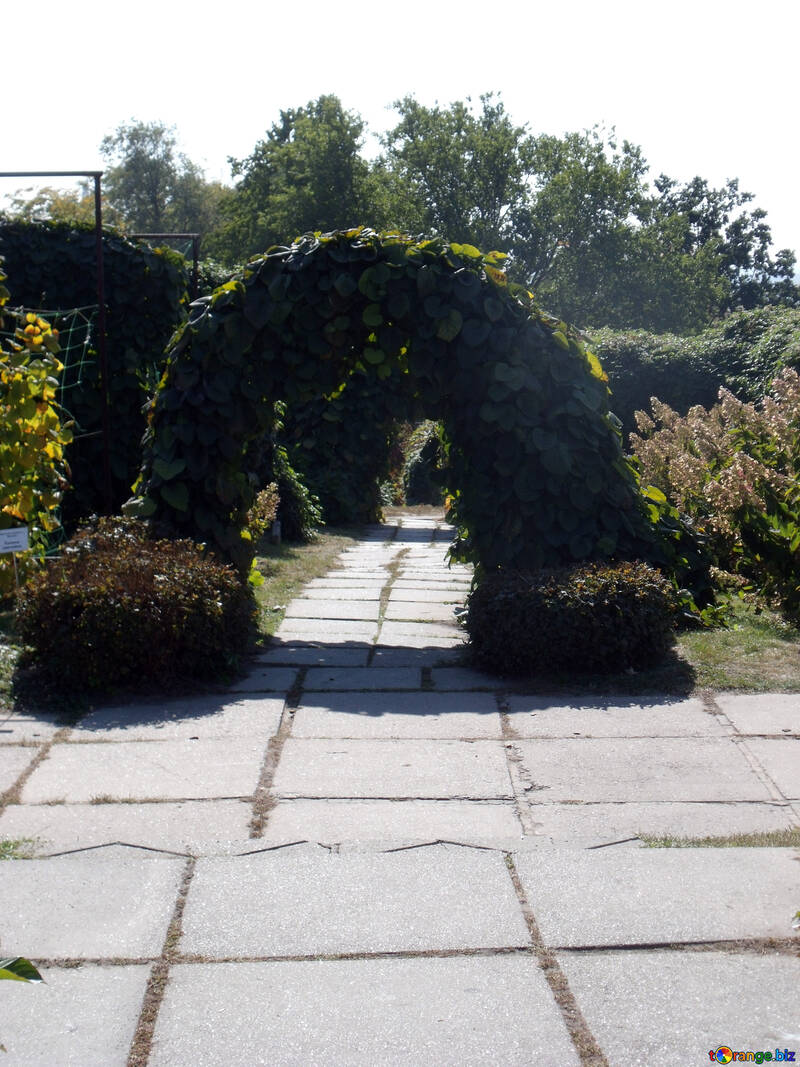 Arco entrata    giardino №10002