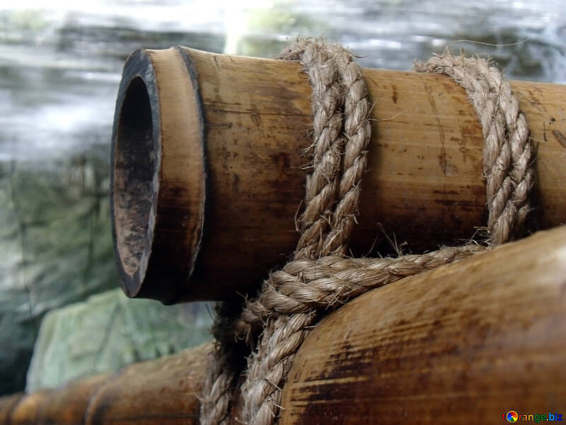 Бамбук пов`язаний мотузкою №10725