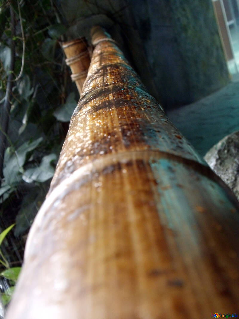 Bamboo railings №10649