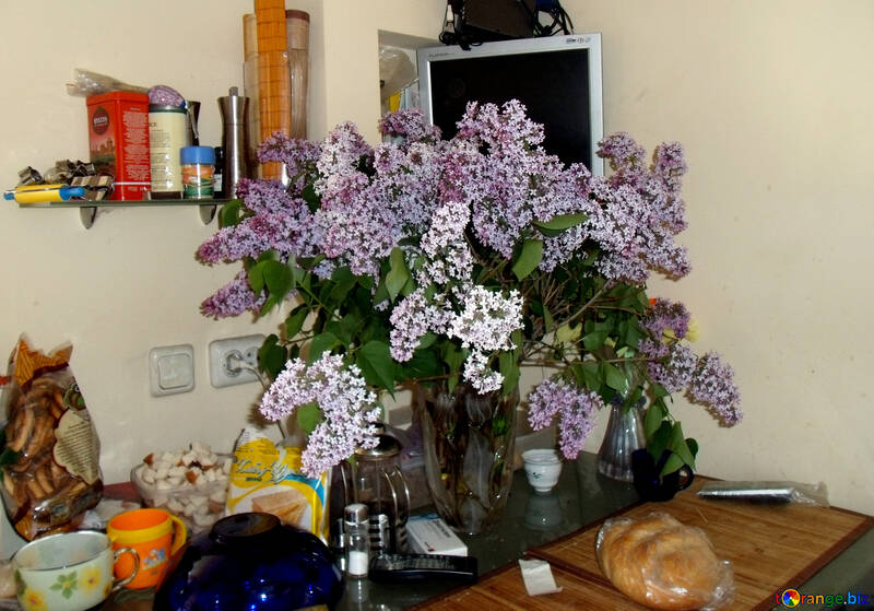 Blumenstrauß  Flieder  in  Küche  Tabelle №10584